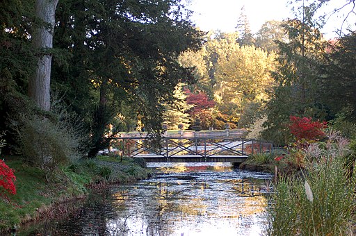 Thorp Perrow Arboretum - geograph.org.uk - 746306