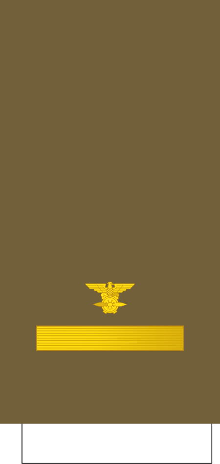 ไฟล์:Tiwan-AirForce-OF-1b_(1928).svg