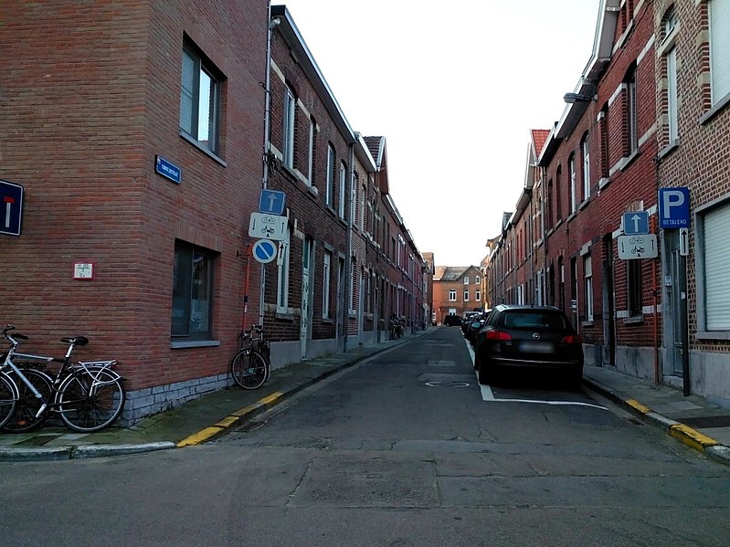 File:Tomveldstraat, Leuven - Mapillary (6UgpIwiQHNhKehjjDiFtoQ).jpg