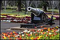 Memorial Cannon –Queens Park Botanic Gardens 2014