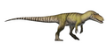 Torvosaurus tanneri Reconstruction (Flipped).png