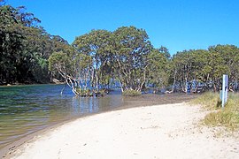 Тауэрс-Бэй lagoon.jpg