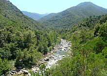 El valle de Travo en su curso medio, en verano