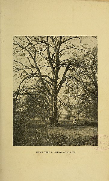 File:Trees in nature, myth and art (Plate) (6376507965).jpg