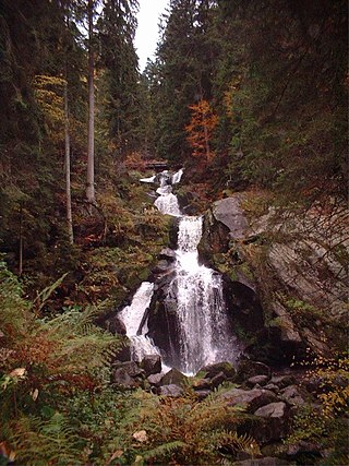 <span class="mw-page-title-main">Gutach (Kinzig)</span> River in Germany