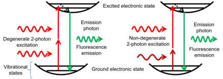 Figure 1.1 Degenerate two-photon excitation of a molecule happens via absorption of two photons with equal energy. In non-degenerate two-photon excitation, two photons with different energies supply the required excitation energy. In both excitation methods, the excited molecule relaxes back to the ground state via fluorescence emission. Two Photon Excitation Diagram.png