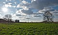 * Nomination Two trees and the sun, looking South of Doel, Belgium --Trougnouf 12:48, 26 April 2018 (UTC) * Promotion Good quality --Carlos yo 14:38, 26 April 2018 (UTC)