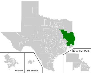 <span class="mw-page-title-main">Texas Senate, District 3</span> American legislative district