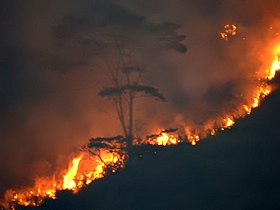UG-LK Photowalk - 2018-03-24 - Wildfire near Kataboola (4).jpg