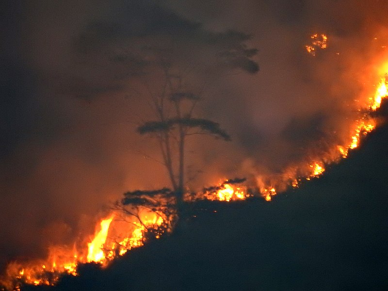 File:UG-LK Photowalk - 2018-03-24 - Wildfire near Kataboola (4).jpg