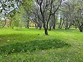 Urban Meadow in Uppsala.jpg