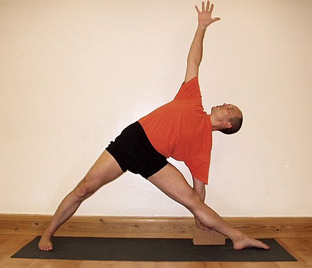 Styles of yoga differ in their approach to the asanas. Iyengar Yoga emphasises correctness, seen here as a practitioner uses a yoga brick to attain correct alignment in Utthitha Trikonasana. Uttitha Trikonasana.jpg
