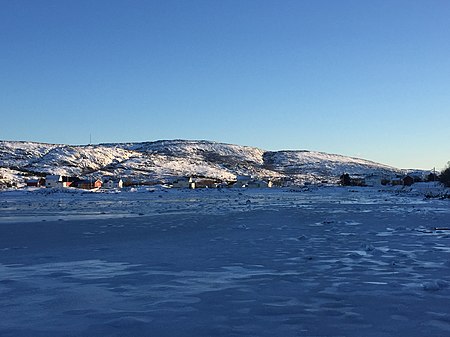 Valøya, Ytre Vikna (1).jpeg