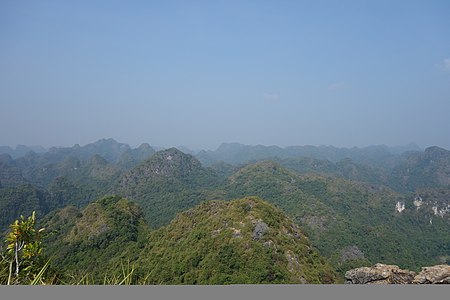 ไฟล์:View_from_Ngu_Lam_Peak,_Cat_Ba_Island,_Vietnam.jpg