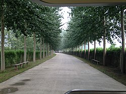 Shuigaozhuang Park on the west of the town, 2016