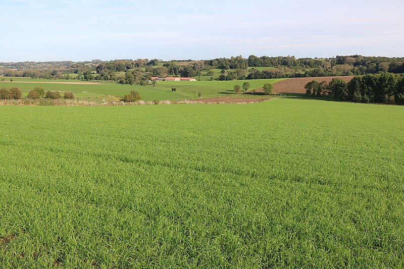 File:Vlaamse Ardennen 216.jpg