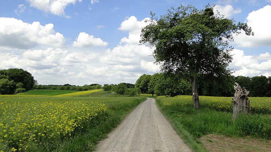 Leidersbach page banner