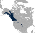 White-tailed Ptarmigan Lagopus leucura distribution map.png
