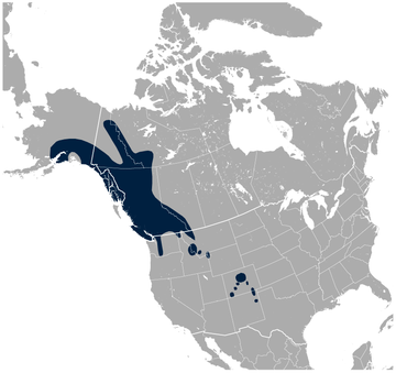 File:White-tailed Ptarmigan Lagopus leucura distribution map.png