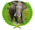 Wikiexpanction elephant.png