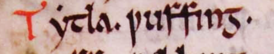 „Tityla Wilhaming”, Rochester Codex