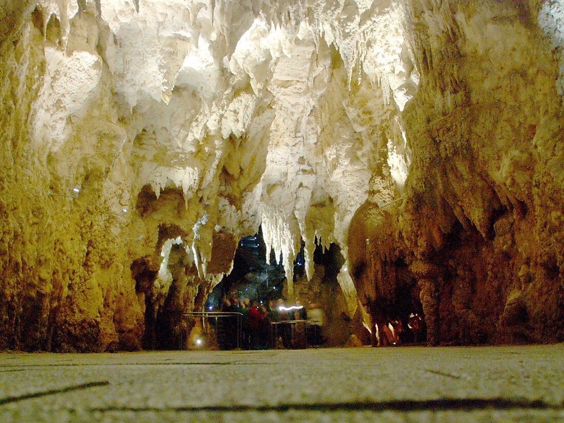 Waitomo Glowworm