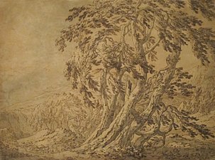 Forest Scene, Honolulu Museum of Art