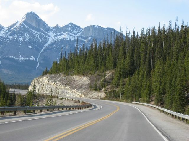 Highway 93 near Saskatchewan Crossing