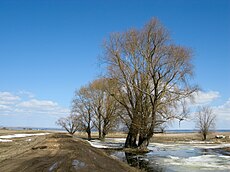 Левитанские пейзажи весной