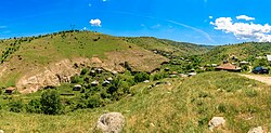 Панорамски поглед на селото Полчиште.jpg