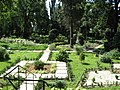 Ужгородський ботанічний сад-3.jpg