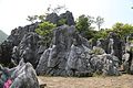 千岛湖石林风光 - panoramio (26).jpg