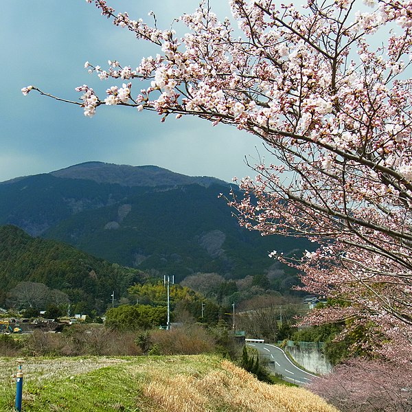 File:御所市井戸から葛城山を望む View toward Katsuragi-san 2012.4.07 - panoramio.jpg