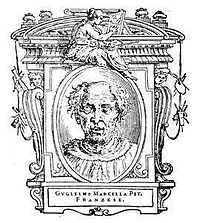 Guillaume de Marcillat, ilustrace pro Vite de più eccellenti pittori, scultori, ed architettori (Životy nejvýznačnějších malířů, sochařů a architektů), Giorgio Vasari