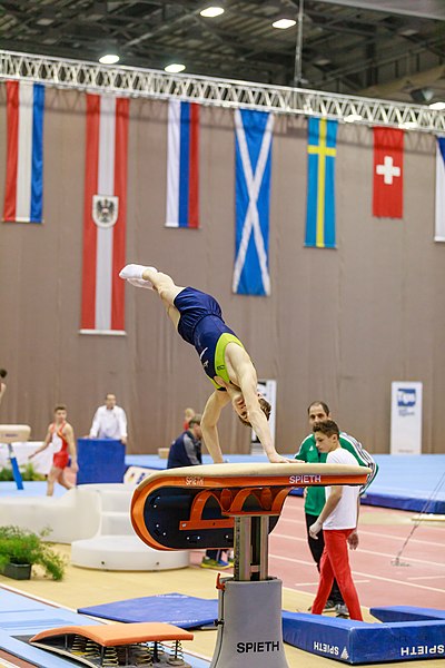 File:15th Austrian Future Cup 2018-11-24 Kilian Schmitt (Norman Seibert) - 06547.jpg