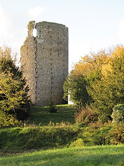 1er nov2011 ruine du château de Fréteval.jpg