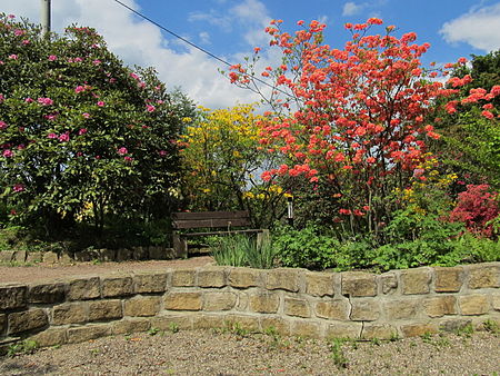 2012 05 15 Rhododendronpark Rathen 8