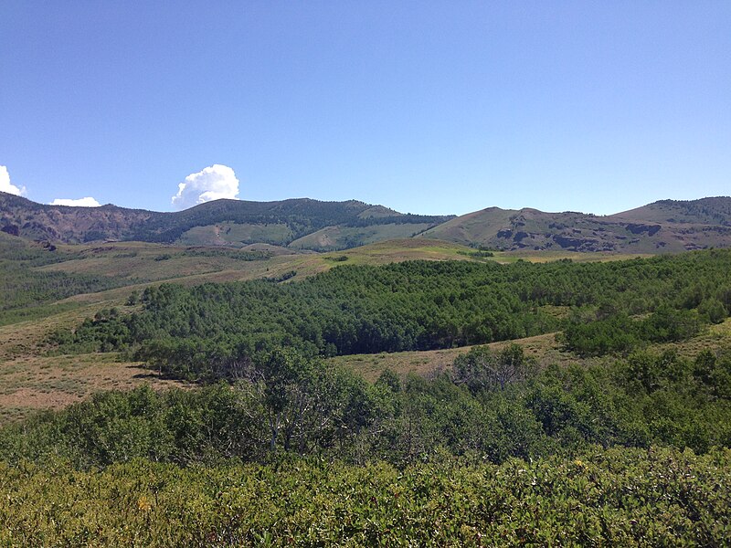 File:2013-07-12 10 19 04 View east from the south side of Copper Basin in Nevada.jpg