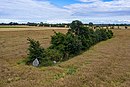 2020-07-16-Langbett Krausort Vogelperspektive-0950.jpg