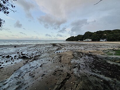 How to get to French Bay - Otitori Bay with public transport- About the place