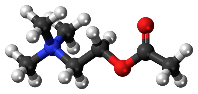 File:Acetylcholine-cation-3D-balls.png