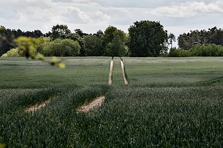 Ackerlandschaft bei Wiewohl