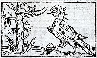 The Eagle and the Beetle Aesops fable