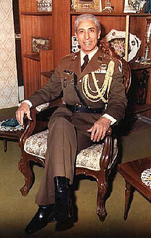 Ali Neshat on chair.jpg