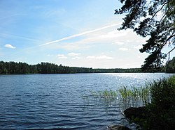 Alinen Niemisjärvi Hämeenlinnan Evolla pohjoisesta nähtynä.
