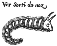Andry - De la génération des vers (1741), p. 73-2.png