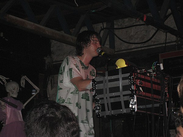 Lennox performing with Animal Collective in 2007
