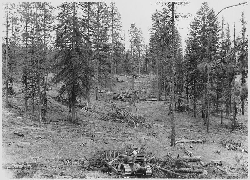 File:Another view of the slash piling tactor in actin. This phote well illustrates the piling conducted on the Omak Lake... - NARA - 298673.jpg