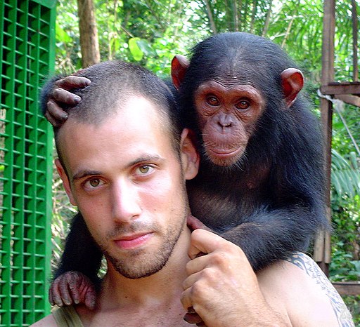 La diferencia entre chimpancés y humanos está en el lenguaje verbal