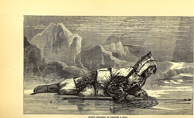 File:Arctic researches, and life among the Esquimaux; being the narrative of an expedition in search of Sir John Franklin, in the years 1860, 1861, and 1862 (1865) (20340222691).jpg